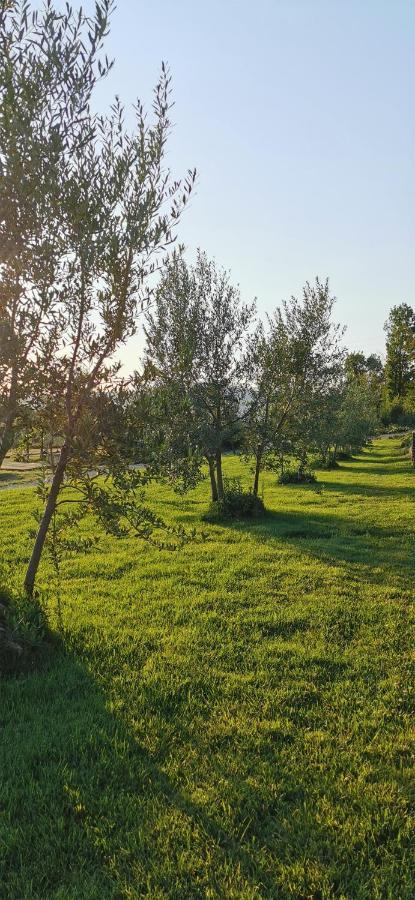 ארצו Chimera Tuscany Resort מראה חיצוני תמונה
